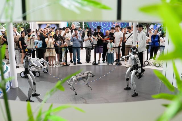(260822) -- BEIJING, Aug. 22, 2026 (Xinhua) -- People watch robots performing rope jumping during the 2026 World Robot Conference in Beijing, capital of China, Aug. 20, 2026. The conference, which runs from Wednesday through Sunday, has drawn more than 300 exhibitors from 26 countries, with over 3,000 products on display, including more than 300 debuts. (Xinhua/Ju Huanzong)