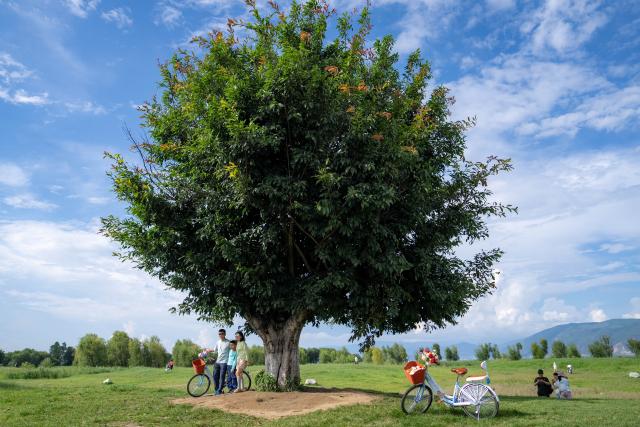 (260822) -- DALI, Aug. 22, 2026 (Xinhua) -- People pose for photos at the Erhai Lake ecological corridor in Dali, southwest China's Yunnan Province, Aug. 21, 2026. The Erhai Lake ecological corridor has entered its peak tourism season during the summer holiday, with cycling becoming a popular choice for many visitors to tour the lake and get close to the nature.
   Local authorities have been continuously upgrading the infrastructure and supporting services along the corridor to create more cultural and tourism experiences. In the first seven months of 2026, the corridor has received more than 17 million visitors. (Xinhua/Hu Chao)