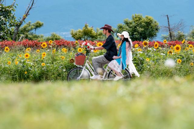 (260822) -- DALI, Aug. 22, 2026 (Xinhua) -- People cycle along the Erhai Lake ecological corridor in Dali, southwest China's Yunnan Province, Aug. 21, 2026. The Erhai Lake ecological corridor has entered its peak tourism season during the summer holiday, with cycling becoming a popular choice for many visitors to tour the lake and get close to the nature.
   Local authorities have been continuously upgrading the infrastructure and supporting services along the corridor to create more cultural and tourism experiences. In the first seven months of 2026, the corridor has received more than 17 million visitors. (Xinhua/Hu Chao)