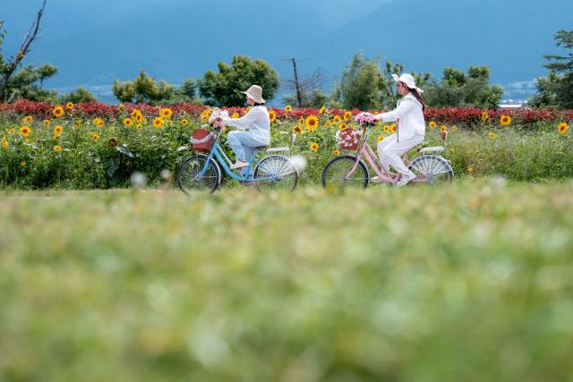 (260822) -- DALI, Aug. 22, 2026 (Xinhua) -- People cycle along the Erhai Lake ecological corridor in Dali, southwest China's Yunnan Province, Aug. 21, 2026. The Erhai Lake ecological corridor has entered its peak tourism season during the summer holiday, with cycling becoming a popular choice for many visitors to tour the lake and get close to the nature.
   Local authorities have been continuously upgrading the infrastructure and supporting services along the corridor to create more cultural and tourism experiences. In the first seven months of 2026, the corridor has received more than 17 million visitors. (Xinhua/Hu Chao)