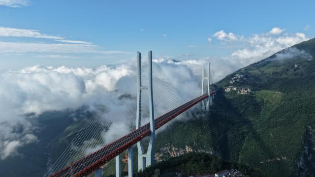 (260822) -- GUIYANG, Aug. 22, 2026 (Xinhua) -- An aerial drone photo taken on Aug. 10, 2026 shows the Beipanjiang Bridge on the border of southwest China's Yunnan Province and southwest China's Guizhou Province. Sitting over 565.4 meters above a valley and spanning 1,341.4 meters, the bridge links Duge Township of Liupanshui in southwest China's Guizhou with Puli Township of Xuanwei in southwest China's Yunnan Province. (Xinhua)