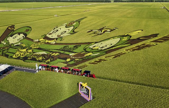 (260823) -- BEIJING, Aug. 23, 2026 (Xinhua) -- An aerial drone photo taken on Aug. 20, 2026 shows people taking a train visiting a paddy field at a modern agricultural demonstration area in Hulin, northeast China's Heilongjiang Province. (Xinhua/Wang Song)