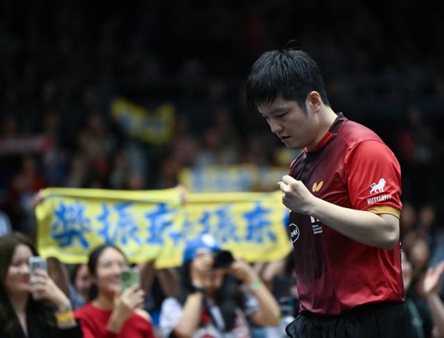 (260823) -- DUSSELDORF, Aug. 23, 2026 (Xinhua) -- Fan Zhendong of Borussia Dusseldorf celebrates scoring during the Bundesliga table tennis match between Borussia Dusseldorf and TSV Bad Konigshofen in Dusseldorf, Germany, Aug. 22, 2026. (Xinhua/Zhang Haofu)
