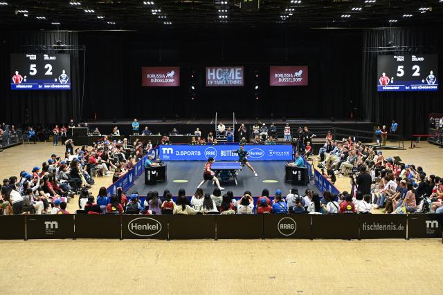 (260823) -- DUSSELDORF, Aug. 23, 2026 (Xinhua) -- Fan Zhendong (L, center) of Borussia Dusseldorf and Filip Zeljko of TSV Bad Konigshofen compete during the Bundesliga table tennis match between Borussia Dusseldorf and TSV Bad Konigshofen in Dusseldorf, Germany, Aug. 22, 2026. (Xinhua/Zhang Haofu)
