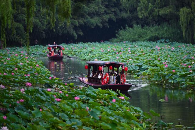 (260823) -- BEIJING, Aug. 23, 2026 (Xinhua) -- Tourists take a boat to enjoy lotus flowers at Zizhuyuan Park in Beijing, capital of China, Aug. 23, 2026. (Xinhua/Xin Yuewei)