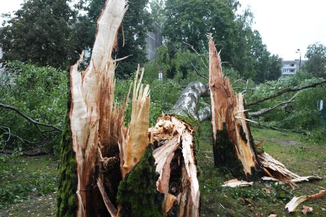 (260823) -- RIGA, Aug. 23, 2026 (Xinhua) -- This photo taken on Aug. 23, 2026 shows the aftermath of a powerful storm in Riga, Latvia. A powerful cyclone swept northward across the three Baltic states on Saturday, killing two as strong winds, torrential rain and thunderstorms ravaged Lithuania, Latvia and Estonia.
   Meteorological data showed Saturday's storm was the most destructive to hit Latvia since January 2005. (Photo by Edijs Palens/Xinhua)