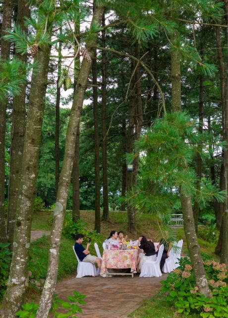 (260824) -- GUANGYUAN, Aug. 24, 2026 (Xinhua) -- Tourists picnic under trees in Zengjiashan scenic spot of Guangyuan City, southwest China's Sichuan Province, Aug. 23, 2026. Zengjiashan, a summer getaway with an average elevation of 1,300 meters and summer temperatures of around 23 degrees centigrade, is developing tourism by making the most of its cool climate, attracting visitors from surrounding areas. (Xinhua/Jiang Hongjing)
