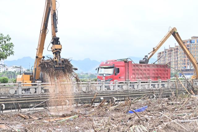 (260824) -- NINGMING, Aug. 24, 2026 (Xinhua) -- Rescue vehicles are deployed on a bridge to help remove flood debris in the Mingjiang River in Ningming County, south China's Guangxi Zhuang Autonomous Region, Aug. 24, 2026. Rescue forces have been deployed in Ningming County where typhoon-triggered heavy rainfall caused flood in the Mingjiang River and its tributaries on Sunday. (Xinhua/Zhou Hua)