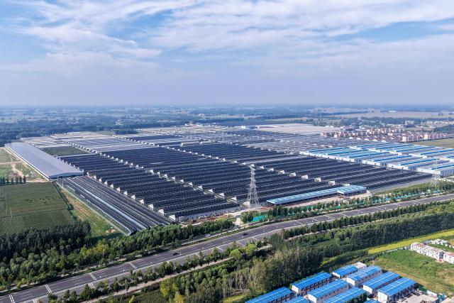 (260827) -- LIAOCHENG, Aug. 27, 2026 (Xinhua) -- An aerial drone photo taken on Aug. 26, 2026 shows the Xinfa modern agricultural industrial park in Chiping District of Liaocheng City, east China's Shandong Province.
  Leveraging the smart farming expertise and facilities, the park focuses on the cultivation of strawberries, cherries, rabbits, and perch, boosting local high-quality agricultural development and rural revitalization. (Photo by Ma Hongkun/Xinhua)