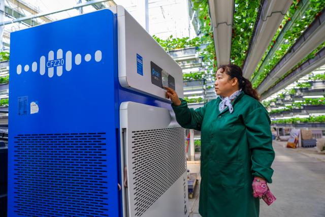 (260827) -- LIAOCHENG, Aug. 27, 2026 (Xinhua) -- A staff member operates a dehumidifier at a greenhouse in the Xinfa modern agricultural industrial park in Chiping District of Liaocheng City, east China's Shandong Province, Aug. 26, 2026.
  Leveraging the smart farming expertise and facilities, the park focuses on the cultivation of strawberries, cherries, rabbits, and perch, boosting local high-quality agricultural development and rural revitalization. (Photo by Ma Hongkun/Xinhua)