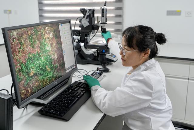 (260827) -- YINCHUAN, Aug. 27, 2026 (Xinhua) -- A researcher observes a bronze ware specimen via a microscope at the Ningxia Institute of Cultural Relics and Archaeology in Yinchuan, northwest China's Ningxia Hui Autonomous Region, Aug. 10, 2026.
  TO GO WITH "Feature: Modern tech gives voice to Chinese wine over 2,000 years old" (Xinhua/Yang Zhisen)