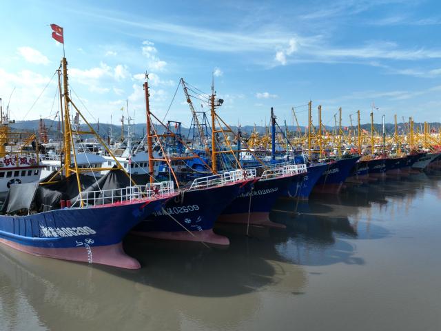 (260827) -- FUDING, Aug. 27, 2026 (Xinhua) -- A drone photo taken on Aug. 27, 2026 shows fishing boats docking at Yaojiayu Pier in Kewan Village of Qianqi Town in Fuding City, southeast China's Fujian Province. Fujian raised its emergency response for typhoon damage prevention to Level II on Thursday afternoon, while keeping a Level IV flood-control emergency response.
  The local flood control authority has urged all localities and relevant departments to closely track Typhoon Saudel, the 18th typhoon of 2026, and the evolving rainfall. It called for thorough inspections in vulnerable areas and prompt evacuation of residents from high-risk zones to ensure public safety and protect property. (Xinhua/Jiang Kehong)