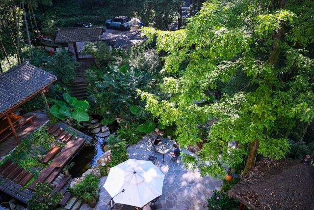 (260827) -- CHONGQING, Aug. 27, 2026 (Xinhua) -- Tourists enjoy their leisure time at a homestay in Jinyun Village, Beibei District, southwest China's Chongqing, Aug. 26, 2026.
  Located along the Jialing River, Jinyun Mountain Reserve is an important ecological barrier in Chongqing and one of the best-preserved subtropical evergreen broad-leaved forest ecosystems in China. 
  Years ago, ecological conservation in the reserve was under severe strain, as unauthorized construction, irregular business activities, and unregulated expansion of farm-stay tourism ran rampant. 
  In June 2018, Chongqing launched the comprehensive ecological environment improvement project of Jinyun Mountain. 
  To date, the reserve has restored 774,000 square meters of ecology and planted about 1 million ornamental plants. The forest coverage rate has increased from 94 percent to 98 percent. 
  In 2025, the collective economic income of villages in the Jinyun Mountain area reached 27.784 million yuan (about 4.13 million U.S. dollars), and villagers' per capita annual income increased by 9.5 percent year-on-year, achieving a win-win situation for ecological protection, industrial development, and villagers' income growth. (Xinhua/Wang Quanchao)