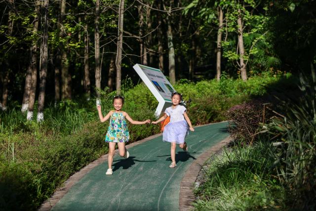 (260827) -- CHONGQING, Aug. 27, 2026 (Xinhua) -- Girls have fun by the lakeside of Daihu Lake on Jinyun Mountain, Beibei District, southwest China's Chongqing, Aug. 26, 2026.
  Located along the Jialing River, Jinyun Mountain Reserve is an important ecological barrier in Chongqing and one of the best-preserved subtropical evergreen broad-leaved forest ecosystems in China. 
  Years ago, ecological conservation in the reserve was under severe strain, as unauthorized construction, irregular business activities, and unregulated expansion of farm-stay tourism ran rampant. 
  In June 2018, Chongqing launched the comprehensive ecological environment improvement project of Jinyun Mountain. 
  To date, the reserve has restored 774,000 square meters of ecology and planted about 1 million ornamental plants. The forest coverage rate has increased from 94 percent to 98 percent. 
  In 2025, the collective economic income of villages in the Jinyun Mountain area reached 27.784 million yuan (about 4.13 million U.S. dollars), and villagers' per capita annual income increased by 9.5 percent year-on-year, achieving a win-win situation for ecological protection, industrial development, and villagers' income growth. (Xinhua/Huang Wei)
