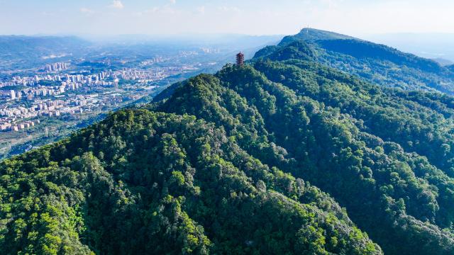 (260827) -- CHONGQING, Aug. 27, 2026 (Xinhua) -- An aerial drone photo taken on Aug. 26, 2026 shows the scenery of Jinyun Mountain in southwest China's Chongqing.
  Located along the Jialing River, Jinyun Mountain Reserve is an important ecological barrier in Chongqing and one of the best-preserved subtropical evergreen broad-leaved forest ecosystems in China. 
  Years ago, ecological conservation in the reserve was under severe strain, as unauthorized construction, irregular business activities, and unregulated expansion of farm-stay tourism ran rampant. 
  In June 2018, Chongqing launched the comprehensive ecological environment improvement project of Jinyun Mountain. 
  To date, the reserve has restored 774,000 square meters of ecology and planted about 1 million ornamental plants. The forest coverage rate has increased from 94 percent to 98 percent. 
  In 2025, the collective economic income of villages in the Jinyun Mountain area reached 27.784 million yuan (about 4.13 million U.S. dollars), and villagers' per capita annual income increased by 9.5 percent year-on-year, achieving a win-win situation for ecological protection, industrial development, and villagers' income growth. (Xinhua/Wang Quanchao)