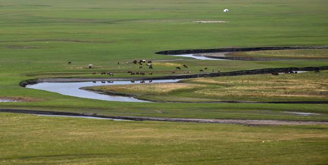 (260828) -- HULUN BUIR, Aug. 28, 2026 (Xinhua) -- This photo taken on Aug. 27, 2026 shows livestock on the Chenbarhu Banner Grassland in Hulun Buir, north China's Inner Mongolia Autonomous Region. (Xinhua/Bei He)