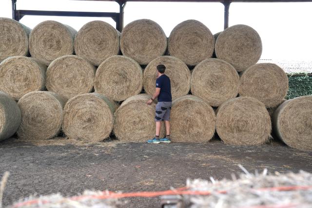 (260828) -- LONDON, Aug. 28, 2026 (Xinhua) -- Farmer William Oliver arranges bales of hay in a barn in Leicestershire, Britain, on Aug. 24, 2026. TO GO WITH "Feature: Heat, drought expose Britain's vulnerability to extreme weather" (Xinhua/Zhang Feng)