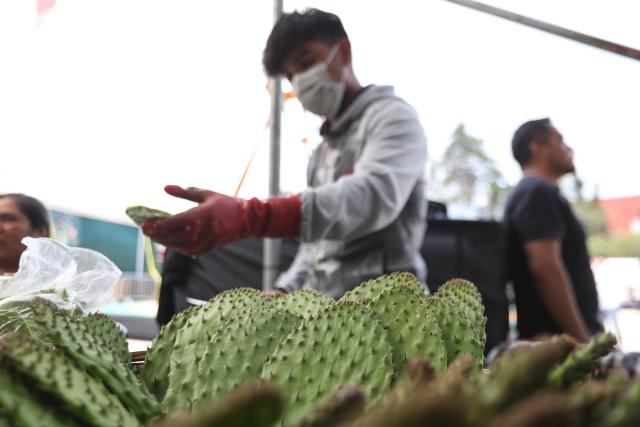 (260829) -- MEXICO CITY, Aug. 29, 2026 (Xinhua) -- A man cleans nopales at the Nopal Fair 2026 in Mexico City, capital of Mexico, on Aug. 28, 2026. The event opened here on Friday. The three-day event brings together 140 producers to showcase and sell nopal and processed nopal products, as well as cultural and educational activities. (Photo by Francisco Canedo/Xinhua)