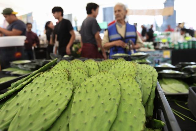 (260829) -- MEXICO CITY, Aug. 29, 2026 (Xinhua) -- People visit the Nopal Fair 2026 in Mexico City, capital of Mexico, on Aug. 28, 2026. The event opened here on Friday. The three-day event brings together 140 producers to showcase and sell nopal and processed nopal products, as well as cultural and educational activities. (Photo by Francisco Canedo/Xinhua)