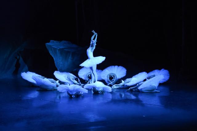 (260829) -- THE HAGUE, Aug. 29, 2026 (Xinhua) -- Dancers from the Shanghai Ballet perform Swan Lake in The Hague, the Netherlands, on Aug. 28, 2026. TO GO WITH "Feature: Shanghai 'swan' spreads wings in the Netherlands" (Xinhua/Shao Haijun)