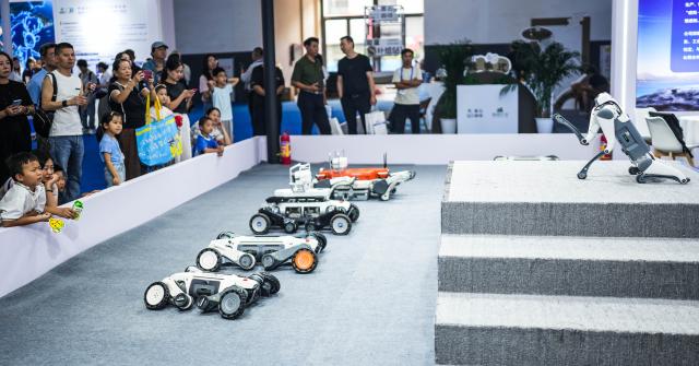 (260829) -- GUIYANG, Aug. 29, 2026 (Xinhua) -- People watch robotic dogs' performance at the 2026 China International Big Data Industry Expo in Guiyang, southwest China's Guizhou Province, Aug. 28, 2026. The expo kicked off here on Friday, showcasing the cutting-edge technologies in several key sectors including computing power infrastructure, data supply, model-driven innovation, security safeguards, and intelligent experiences. (Xinhua/Tao Liang)
