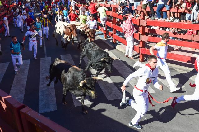 (260829) -- SAN SEBASTIAN DE LOS REYES, Aug. 29, 2026 (Xinhua) -- People attend the Bull Run on a street of San Sebastian de los Reyes, Spain, Aug. 29, 2026. Running of the bulls is a traditional event held in many towns and cities across Spain, often as part of local festivals. (Photo by Gustavo Valiente/Xinhua)