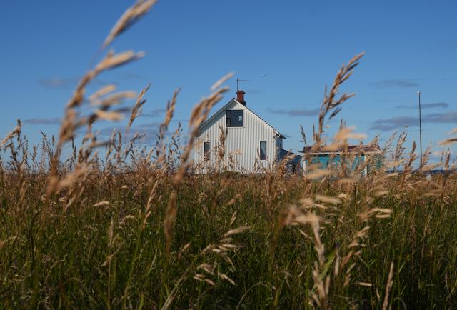 (260830) -- REYKJAVIK, Aug. 30, 2026 (Xinhua) -- This photo taken on Aug. 27, 2026 shows a ranch in Gardur, Iceland. (Xinhua/Weng Xinyang)
