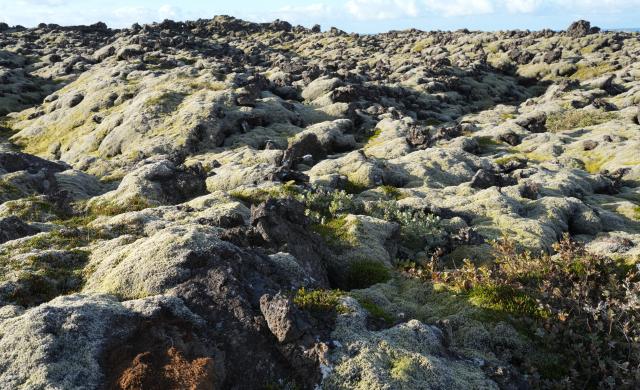 (260830) -- REYKJAVIK, Aug. 30, 2026 (Xinhua) -- A tundra is pictured in Reykjanes Peninsula, Iceland, Aug. 28, 2026. (Xinhua/Weng Xinyang)