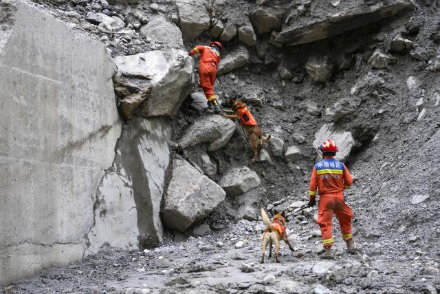 (260901) -- BEIJING, Sept. 1, 2026 (Xinhua) -- Rescuers and sniffer dogs search for the missing at the mudslide-hit area in Gyirong County, southwest China's Xizang Autonomous Region, Aug. 30, 2026. Rescuers are racing against time and the odds in search of survivors after a devastating mudslide, triggered by an ice-rock avalanche in Nepal, hit the border port of Gyirong in southwest China's Xizang Autonomous Region. (Xinhua/Jigme Dorje)