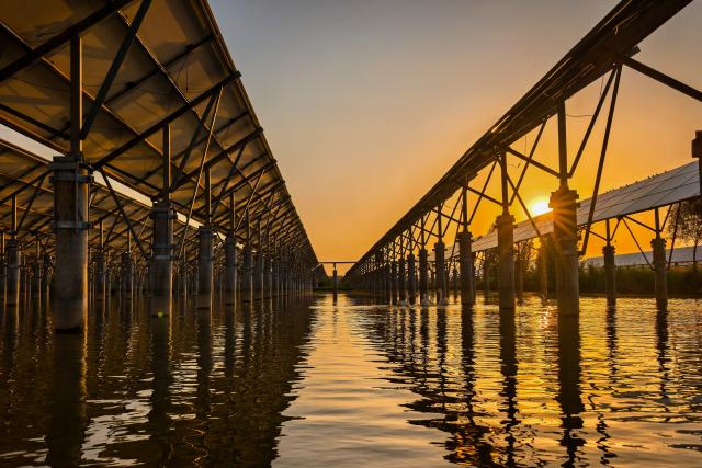 (260901) -- BEIJING, Sept. 1, 2026 (Xinhua) -- This photo taken on June 1, 2026 shows an aquaculture-photovoltaic power project in Xiaojiazhuang Town, Liaocheng City, east China's Shandong Province. China's installed photovoltaic (PV) power capacity surpassed coal-fired power capacity for the first time, making PV the country's largest power source by installed capacity, the National Energy Administration said Tuesday.
  China's installed PV power capacity reached 1.286 billion kilowatts at the end of July, according to the administration. (Photo by Ma Hongkun/Xinhua)