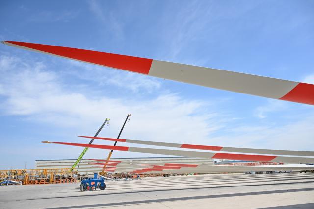 (260903) -- URUMQI, Sept. 3, 2026 (Xinhua) -- This photo taken on Aug. 31, 2026 shows wind turbine blades at a new materials company in Changji City, northwest China's Xinjiang Uygur Autonomous Region.
  By leveraging its rich resources, Xinjiang has made remarkable progress in developing the new materials sector and forging new growth engines in recent years. Years of sustained effort to achieve breakthroughs in core technologies in key fields and in smart manufacturing of new materials have boosted industrial cluster formation and drive high-quality growth in the region. (Xinhua/Ding Lei)