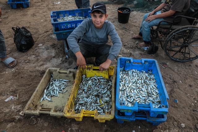 (260903) -- GAZA, Sept. 3, 2026 (Xinhua) -- A Palestinian boy sells fish at Gaza's seaport, in Gaza City, on Sept. 3, 2026. (Photo by Rizek Abdeljawad/Xinhua)