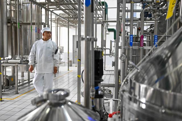 (260904) -- YINING, Sept. 4, 2026 (Xinhua) -- A staff member works at a workshop of a dairy company in Huocheng County of Ili Kazakh Autonomous Prefecture, northwest China's Xinjiang Uygur Autonomous Region, Sept. 3, 2026. In recent years, advances in agricultural technology have become key helpers for Xinjiang's farmers. Mechanization and intelligent facilities are now widely used from planting to harvesting. (Xinhua/Ding Lei)