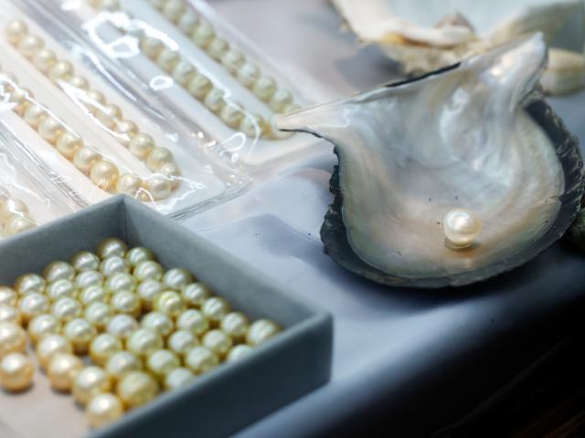 (260904) -- YANGON, Sept. 4, 2026 (Xinhua) -- Pearl jewelry products are seen at a pearl jewelry shop in Yangon, Myanmar, Sept. 4, 2026. Myanmar Pearl Enterprise stated that more than 900,000 pearls were produced between April and August of 2026, the state-owned daily The Global New Light of Myanmar reported on Friday. (Xinhua/Myo Kyaw Soe)
