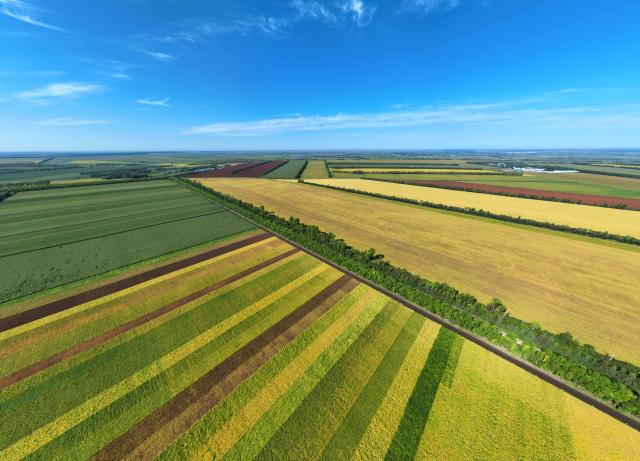 (260906) -- HARBIN, Sept. 6, 2026 (Xinhua) -- An aerial drone photo taken on Sept. 3, 2026 shows a view of colorful fields at a farm under the Beidahuang Group in northeast China's Heilongjiang Province. (Photo by Lin Jinchun/Xinhua)