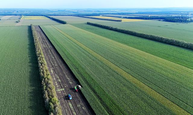 (260906) -- HARBIN, Sept. 6, 2026 (Xinhua) -- An aerial drone photo taken on Sept. 5, 2026 shows a harvester operating in a corn field at a farm under the Beidahuang Group in northeast China's Heilongjiang Province. (Photo by Lu Wenxiang/Xinhua)