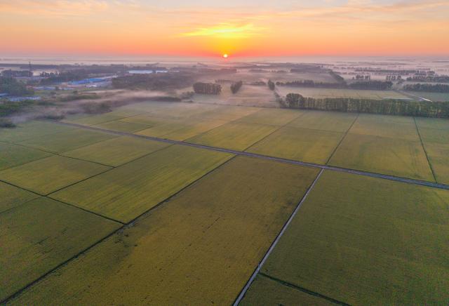 (260906) -- HARBIN, Sept. 6, 2026 (Xinhua) -- An aerial drone photo taken on Sept. 6, 2026 shows a sunrise view at paddy fields in Hegang City, northeast China's Heilongjiang Province. (Photo by Zhu Zongqiang/Xinhua)