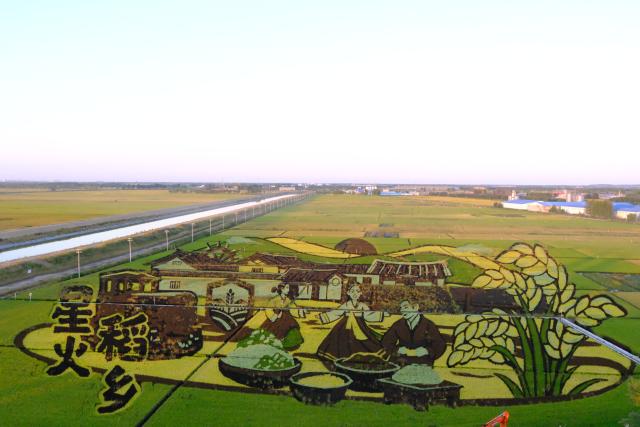 (260907) -- HARBIN, Sept. 7, 2026 (Xinhua) -- This photo taken on Sept. 5, 2026 shows a rice paddy art piece in Xinghuo Village of Huachuan County, northeast China's Heilongjiang Province.
  TO GO WITH "China Focus: China's top grain-producing province turns paddies into tourist destinations" (Xinhua/Ji Hang)