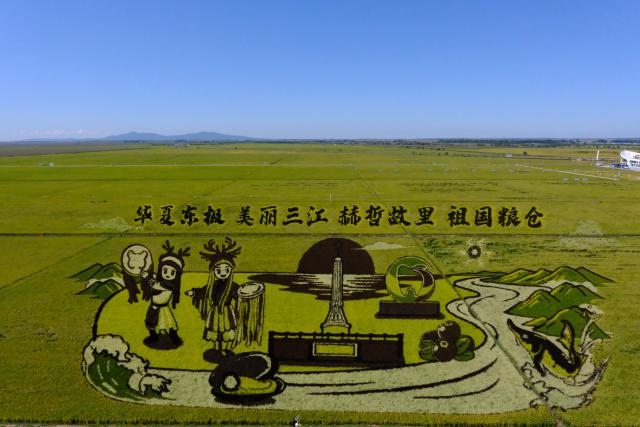 (260907) -- HARBIN, Sept. 7, 2026 (Xinhua) -- This photo taken on Sept. 5, 2026 shows a rice paddy art piece at a rice park in Fujin City, northeast China's Heilongjiang Province.
  TO GO WITH "China Focus: China's top grain-producing province turns paddies into tourist destinations" (Xinhua/Ji Hang)