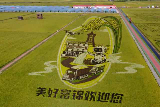 (260907) -- HARBIN, Sept. 7, 2026 (Xinhua) -- This photo taken on Sept. 5, 2026 shows a rice paddy art piece at a rice park in Fujin City, northeast China's Heilongjiang Province.
  TO GO WITH "China Focus: China's top grain-producing province turns paddies into tourist destinations" (Xinhua/Ji Hang)