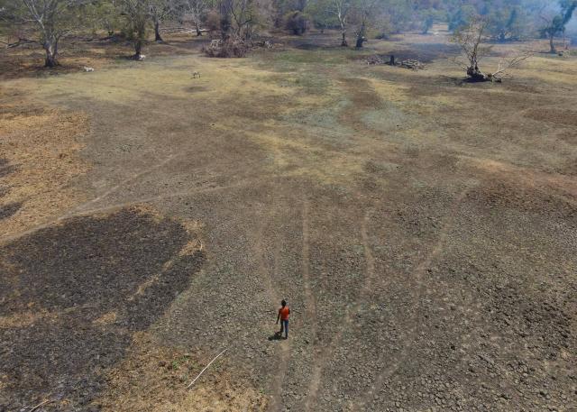(260907) -- POLONNARUWA, Sept. 7, 2026 (Xinhua) -- A man walks across a dried-up lake in Polonnaruwa, Sri Lanka, Sept. 4, 2026. More than 115,000 people in seven districts of Sri Lanka have been affected by prevailing dry weather conditions linked to the El Nino weather pattern, the National Disaster Relief Services Center said Saturday. (Photo by Thilina Kaluthotage/Xinhua)