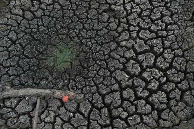 (260907) -- POLONNARUWA, Sept. 7, 2026 (Xinhua) -- The cracked bed of a dried-up lake is seen in Polonnaruwa, Sri Lanka, Sept. 5, 2026. More than 115,000 people in seven districts of Sri Lanka have been affected by prevailing dry weather conditions linked to the El Nino weather pattern, the National Disaster Relief Services Center said Saturday. (Photo by Thilina Kaluthotage/Xinhua)