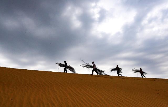(260908) -- BEIJING, Sept. 8, 2026 (Xinhua) -- People work at a desertification control project on a deserted grassland in Otog Front Banner in the city of Ordos, north China's Inner Mongolia Autonomous Region, Sept. 6, 2026. (Photo by Wang Zheng/Xinhua)