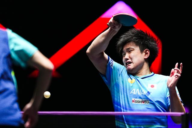(260908) -- MACAO, Sept. 8, 2026 (Xinhua) -- Harimoto Tomokazu hits a return during the men's singles first round match between Harimoto Tomokazu of Japan and Mak Tin Ian of China's Macao at the 2026 World Table Tennis (WTT) Champions Macao in Macao, south China, Sept. 8, 2026. (Xinhua/Cheong Kan Ka)