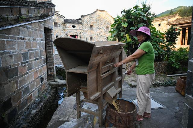 (260908) -- NINGHUA, Sept. 8, 2026 (Xinhua) -- A resident screens the grain in Xiacao Village in Ninghua County, southeast China's Fujian Province, Sept. 8, 2026. This year marks the 90th anniversary of the victory of the Long March by the Red Army under the leadership of the Communist Party of China (CPC). Ninghua is one of the starting points of the Long March by the Central Red Army. Xiacao Village in Ninghua has profound heritage of revolutionary history. (Xinhua/Zheng Huansong)