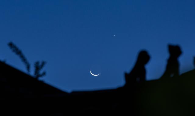 (260909) -- HARBIN, Sept. 9, 2026 (Xinhua) -- This photo taken on Sept. 9, 2026 shows the planet of Jupiter next to the moon in the sky over Jiamusi City, northeast China's Heilongjiang Province. (Photo by Chen Zhiguo/Xinhua)
