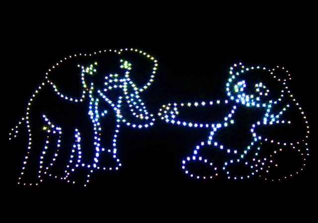 (260909) -- GABORONE, Sept. 9, 2026 (Xinhua) -- A drone formation depicts an elephant and a panda during a drone light show in Gaborone, Botswana, on Sept. 8, 2026. TO GO WITH "Drone light show brightens China-Botswana people-to-people exchanges" (Xinhua/Tshekiso Tebalo)