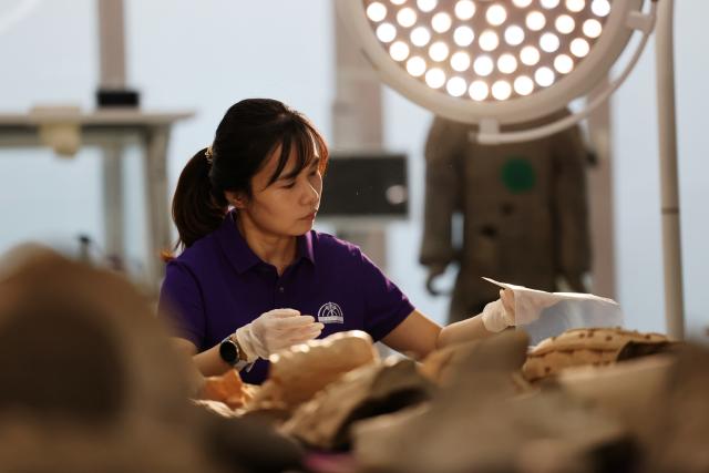 (260909) -- XI'AN, Sept. 9, 2026 (Xinhua) -- A restoration specialist checks excavated terracotta warrior fragments at the on-site conservation lab of the Pit No.1 of the Emperor Qinshihuang's Mausoleum Site Museum in Xi'an, northwest China's Shaanxi Province, Sept. 3, 2026.
  At the world-famous Terracotta Warriors site in Xi'an, visitors can now witness a once behind-the-scenes process -- experts meticulously restoring over 2,000-year-old clay soldiers. At the newly launched conservation lab in Pit No. 1, specialists piece fragmented pottery together manually, reviving scattered relics into solemn and life-size warriors.
  The lab officially opened in 2024, celebrating the 50th anniversary of the discovery and excavation of the iconic Terracotta Warriors. A professional excavation and preservation facility in Pit No. 2 was also completed and put into operation. The two facilities form a full-cycle conservation system covering excavation, transportation, restoration and storage. 
  This advanced system greatly improves the protection of the warriors' original pigments. Buried underground for over 2,000 years, the Terracotta Warriors suffered severe damage from fires, soil collapses and underground water fluctuations, with most original colors fading away over time. Previously, surviving paint layer would easily curl, peel or flake off once exposed to drastic environmental changes after excavation. Today, newly unearthed painted relics are directly transferred to the on-site lab. Through keeping stable humidity control, ultrasonic inspection, 3D scanning, professional cleaning and reinforcement treatment, researchers now do their utmost to preserve the warriors' ancient original hues. (Xinhua/Li Yibo)
