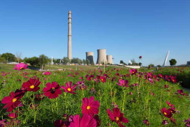 (260912) -- BEIJING, Sept. 12, 2026 (Xinhua) -- Flowers are in full bloom along the waterfront of the Shougang section of the Yongding River in Beijing, capital of China, Sept. 10, 2026.
  Beijing's Shougang Park saw its last blast furnace shut down in 2010, marking the end of more than a century of steelmaking. After more than a decade of transformation, the former industrial site now blends preserved steel structures with modern architecture and green spaces.
  The park hosted the Big Air Shougang, a landmark venue of the Beijing 2022 Winter Olympics, and has since evolved into a hub for exhibitions, commerce, sports and cultural tourism. It is now the permanent venue of the China International Fair for Trade in Services and has also attracted businesses in emerging fields such as science fiction and technology.
  From an old industrial site to a vibrant urban destination, Shougang Park offers a vivid example of how China is transforming its traditional industrial bases. (Xinhua/Xie Han)