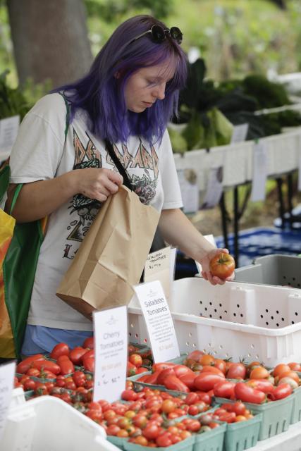 (260913) -- VANCOUVER, Sept. 13, 2026 (Xinhua) -- A woman shops for tomatoes at a tomato festival in Vancouver, British Columbia, Canada, Sept. 12, 2026. The event was held here on Saturday, showcasing a wide variety of tomatoes cultivated by local farmers. It featured tomato tastings, exhibits, informational displays, as well as sales of various tomato varieties. (Photo by Liang Sen/Xinhua)